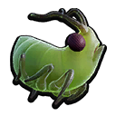 Raw Aphid Meat